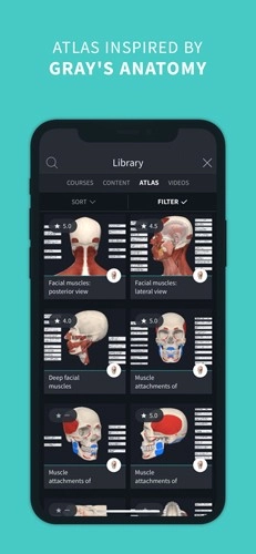 completeanatomy手机版图6