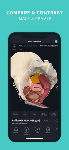 completeanatomy手机版图4