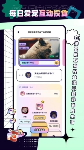 PetPet陪陪官方版图4