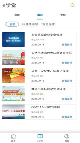 石油标准官方正版图3