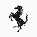 MyFerrari 无广告版
