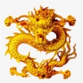 龙王T盒子版