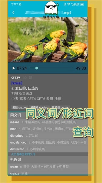 单词播放器软件官方最新版(4)