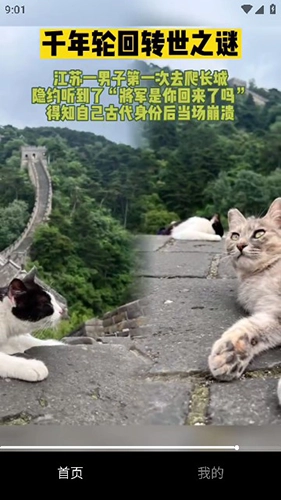 千千短剧红包版图3