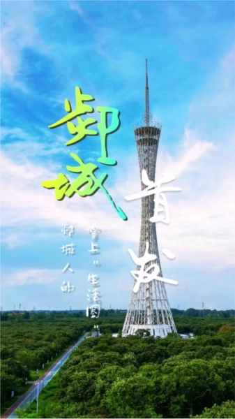 郯城首发无广告版图1