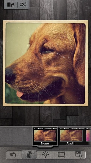 Pixlr-o-matic 手机免费版图4