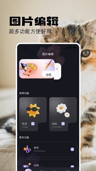布偶相机最新版图2