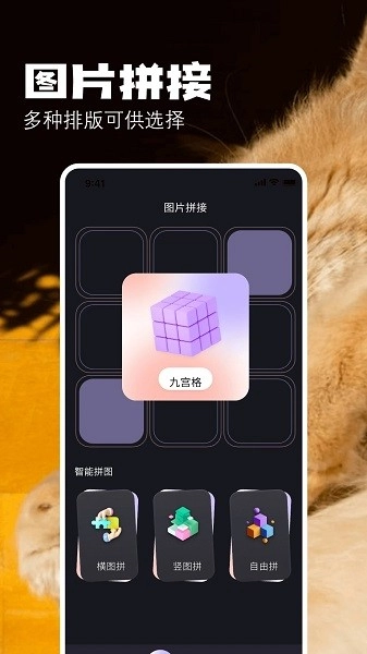 布偶相机最新版图3