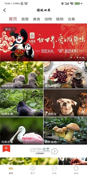 赶点旅居手机正版图1