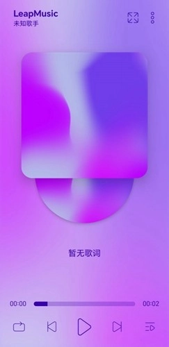 LeapMusic正版图3