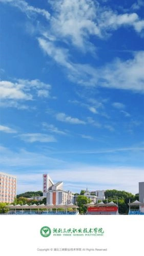 数智三职最新版图1