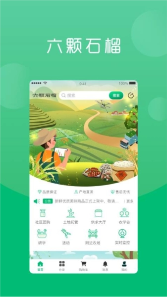 六棵石榴正版图2