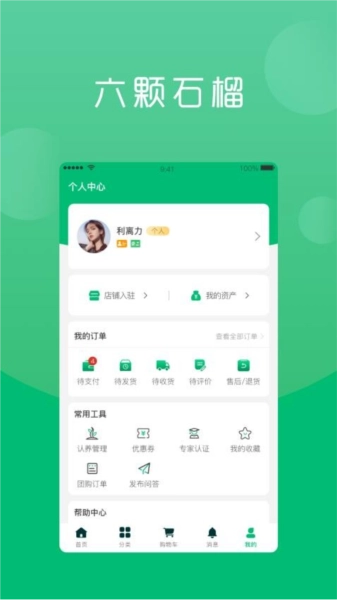 六棵石榴正版图3