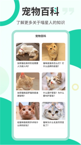 猫语翻译机手机免费版图3