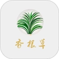 香根草通用版