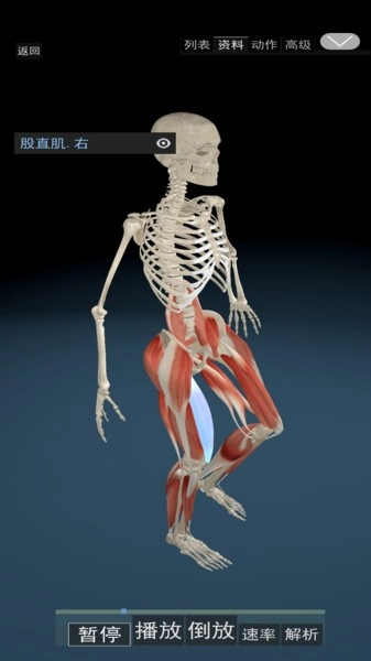 3D运动解剖通用版图1