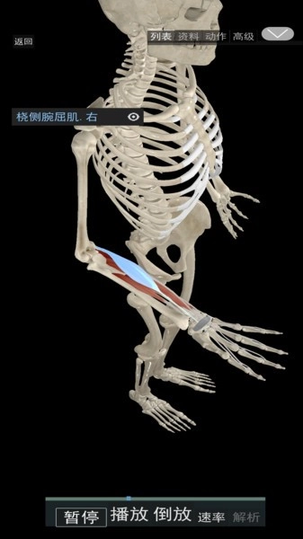 3D运动解剖通用版图3