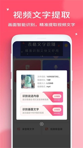 字幕提取器正版(1)