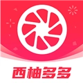 西柚多多手机免费版