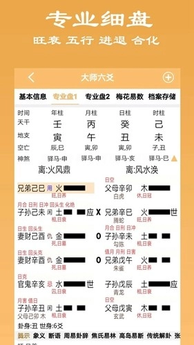 大师六爻软件最新免费版图1