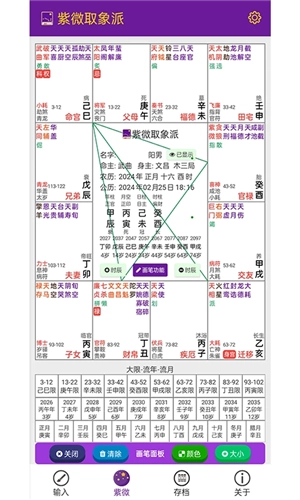 紫微取象派软件免费原版图4