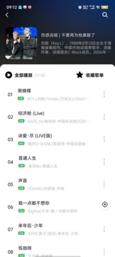 如意音乐直装版(1)