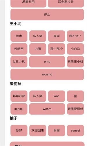 王小兆语音盒通用版图2
