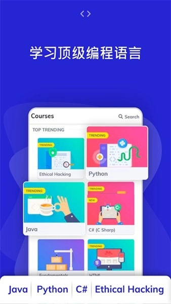Programming Hub手机版图2
