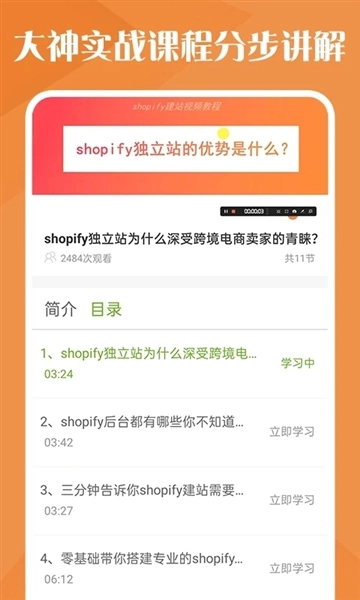 独立站跨境电商正版图2