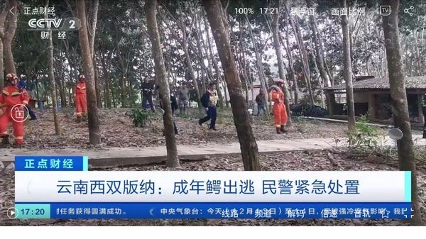 悠悠电视官方最新版(3)
