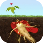 夺笋高手官方版