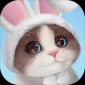 我和我的猫手游无广告版