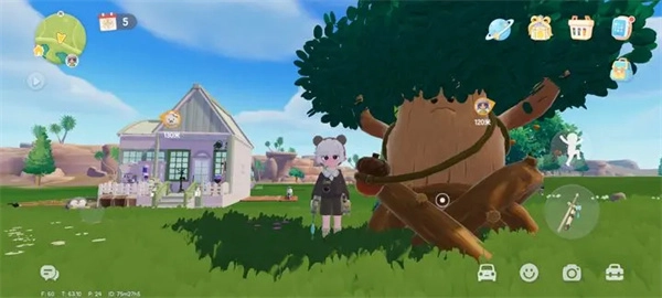 1月30日心动小镇中溜溜橡木和无暇荧石的采集位置说明