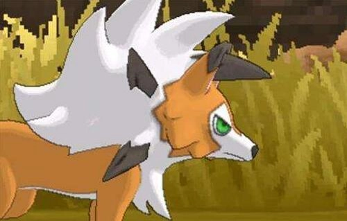 口袋妖怪究极之日金手指游戏纯净版