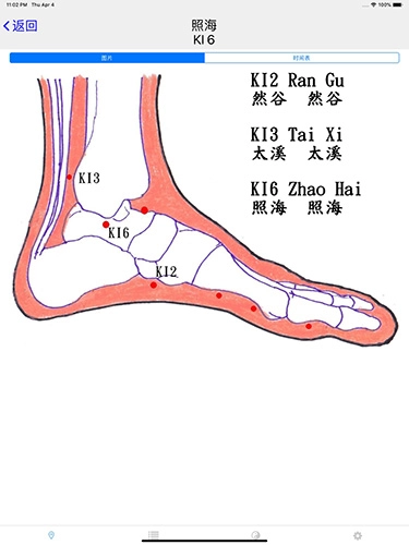子午灵龟安卓版(1)