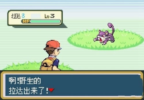 口袋妖怪究极绿宝石6v金手指