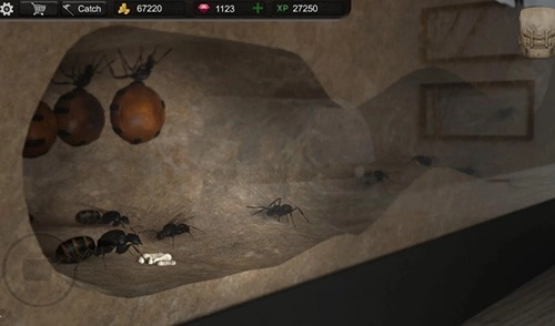 蚂蚁模拟大亨安卓官方版