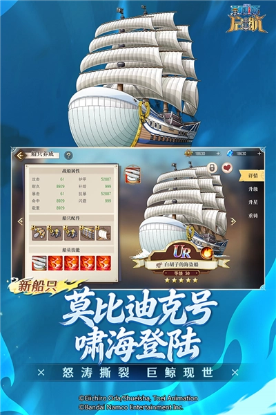 航海王启航国际服安卓版图5