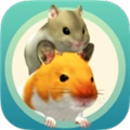 我的仓鼠免费版