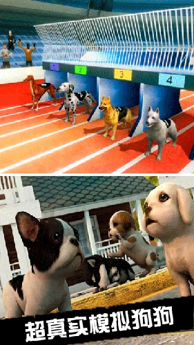 我的萌宠世界直装游戏版