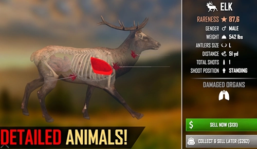 美国射手游戏安装包