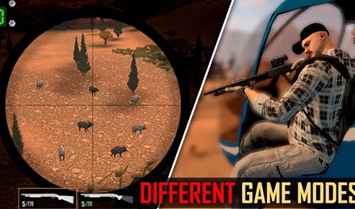 美国射手游戏安装包