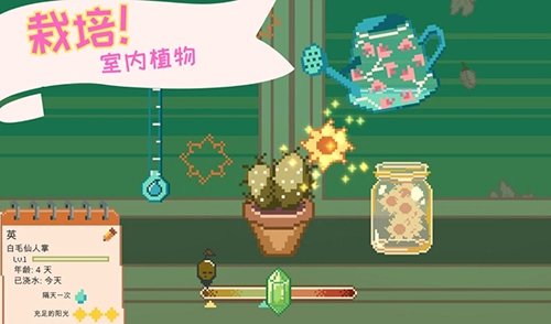 窗边花园最新版