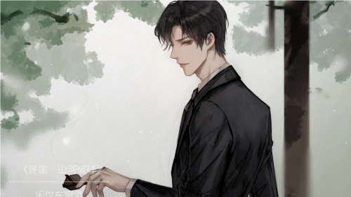 民国山河清软完结版图4