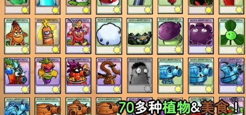 植物大战僵尸时空之乱玩家自制版图2