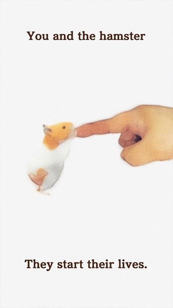 我的仓鼠直装版