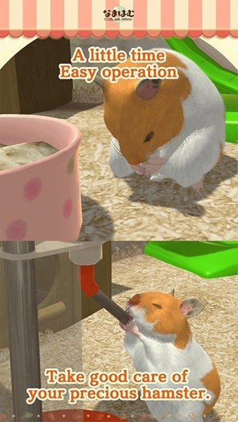 我的仓鼠直装版