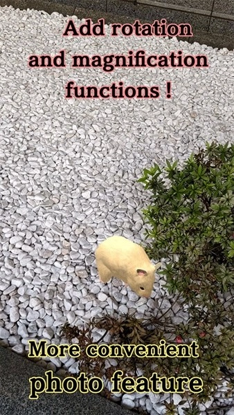 我的仓鼠直装版