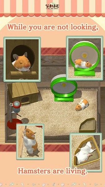 我的仓鼠直装版