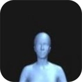 bodyvisualizer正版